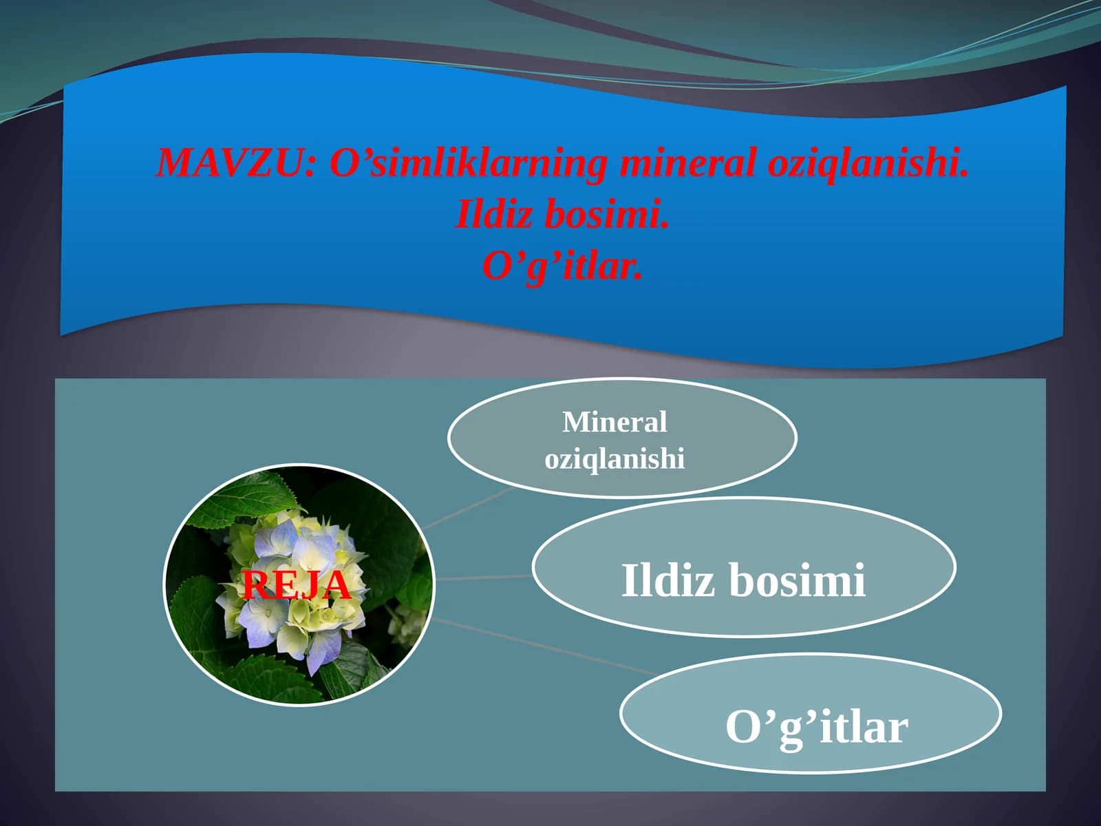 O’simliklarning mineraloziqlanishi