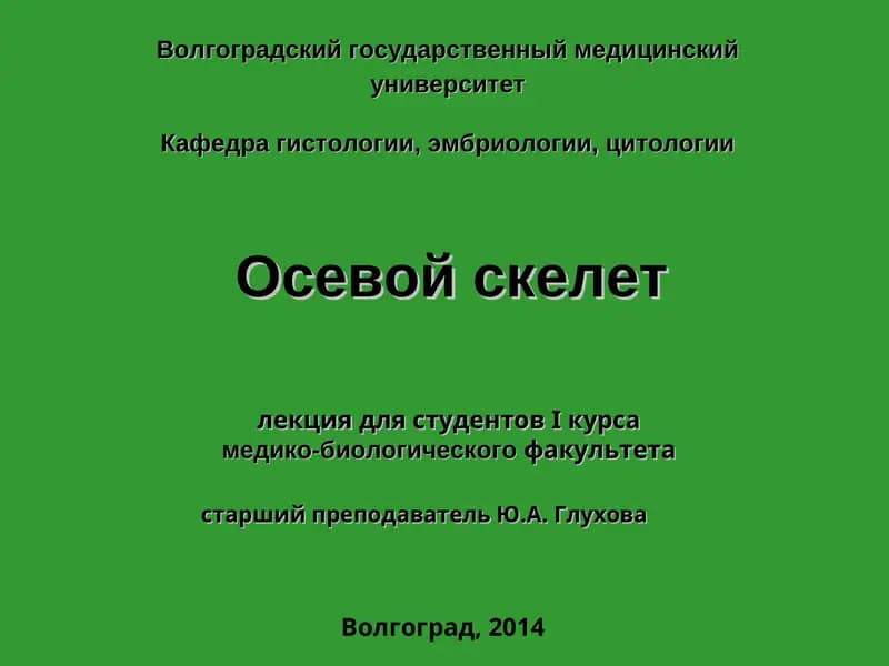 Осевой скелет