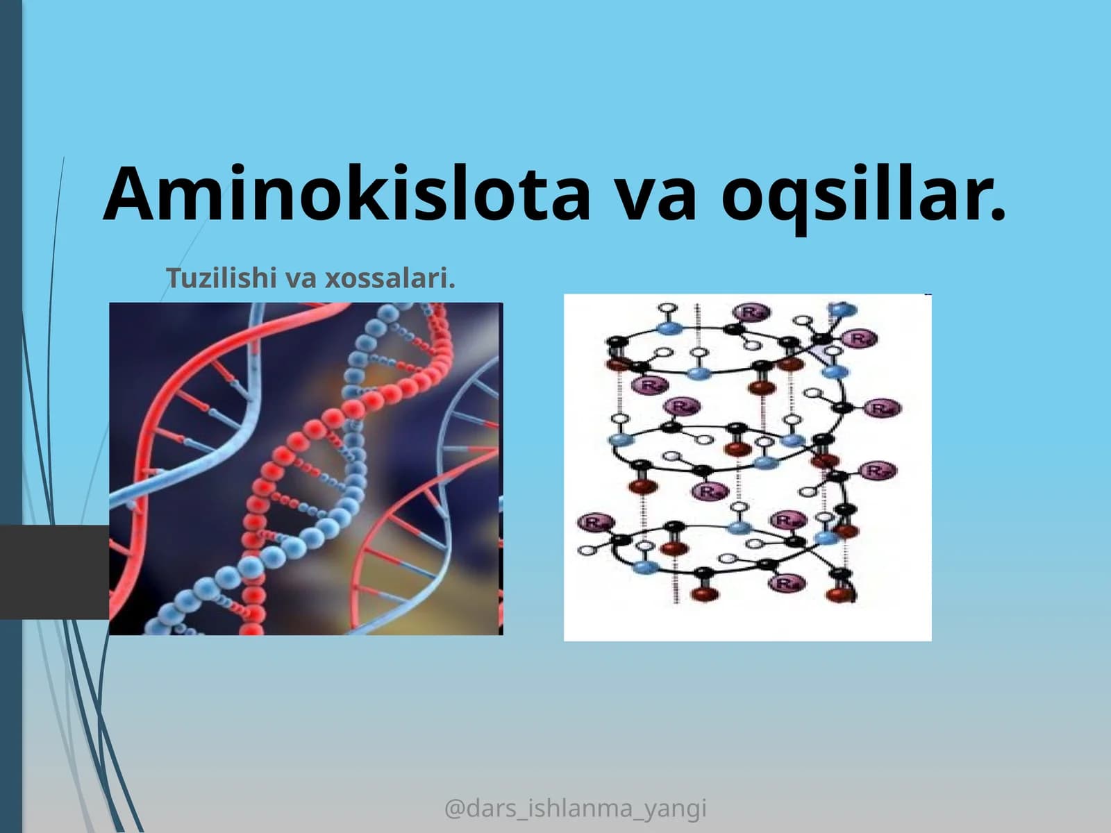 Aminokislota va oqsillar