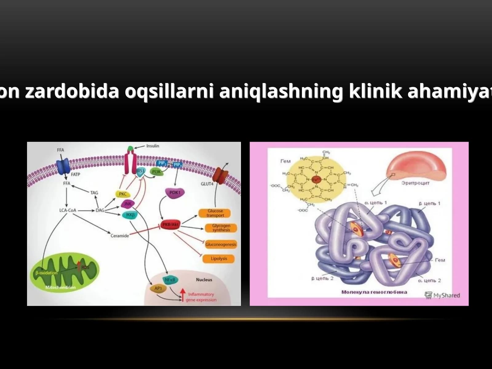 Qonzardobidaoqsillarnianiqlashningklinikahamiyati