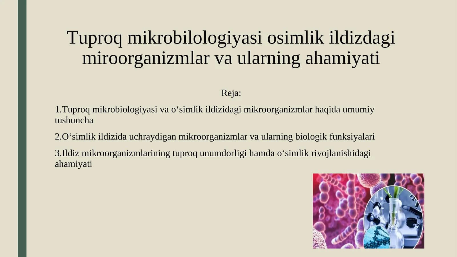 Tuproq mikrobilologiyasi osimlik ildizdagi miroorganizmlar va ularning ahamiyati