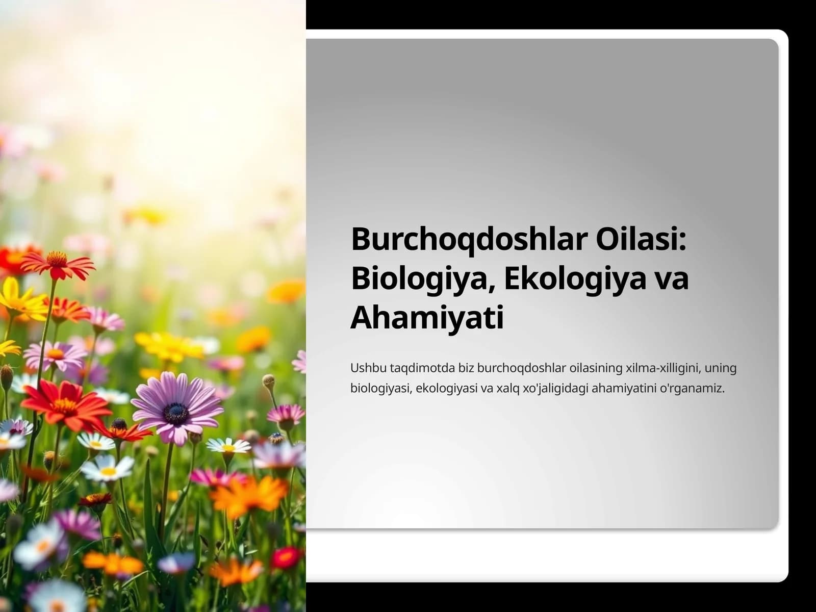Burchoqdoshlar Oilasi: Biologiya, Ekologiya va Ahamiyati
