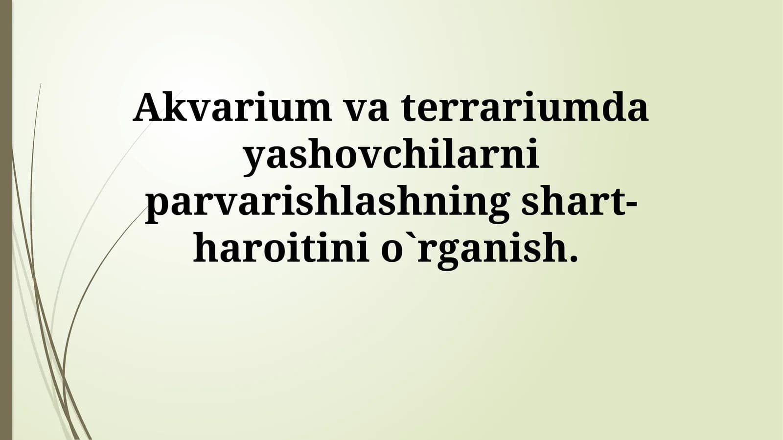 Akvarium va Terrarium Hayvonlarini Parvarish Shartlarini O'rganish