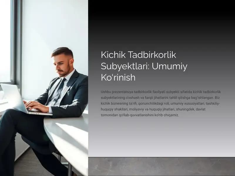 Kichik Tadbirkorlik Subyektlari: Umumiy Ko‘rinish