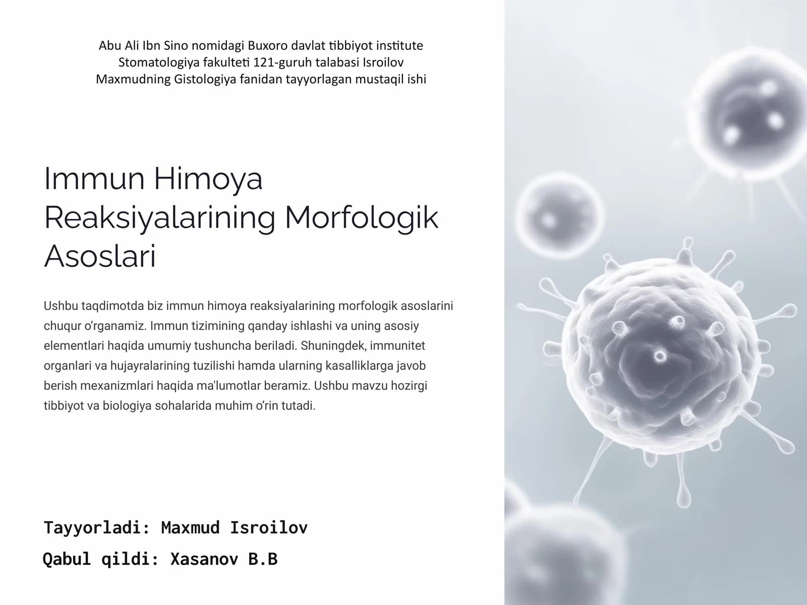 Immun Himoya Reaksiyalarining Morfologik Asoslari
