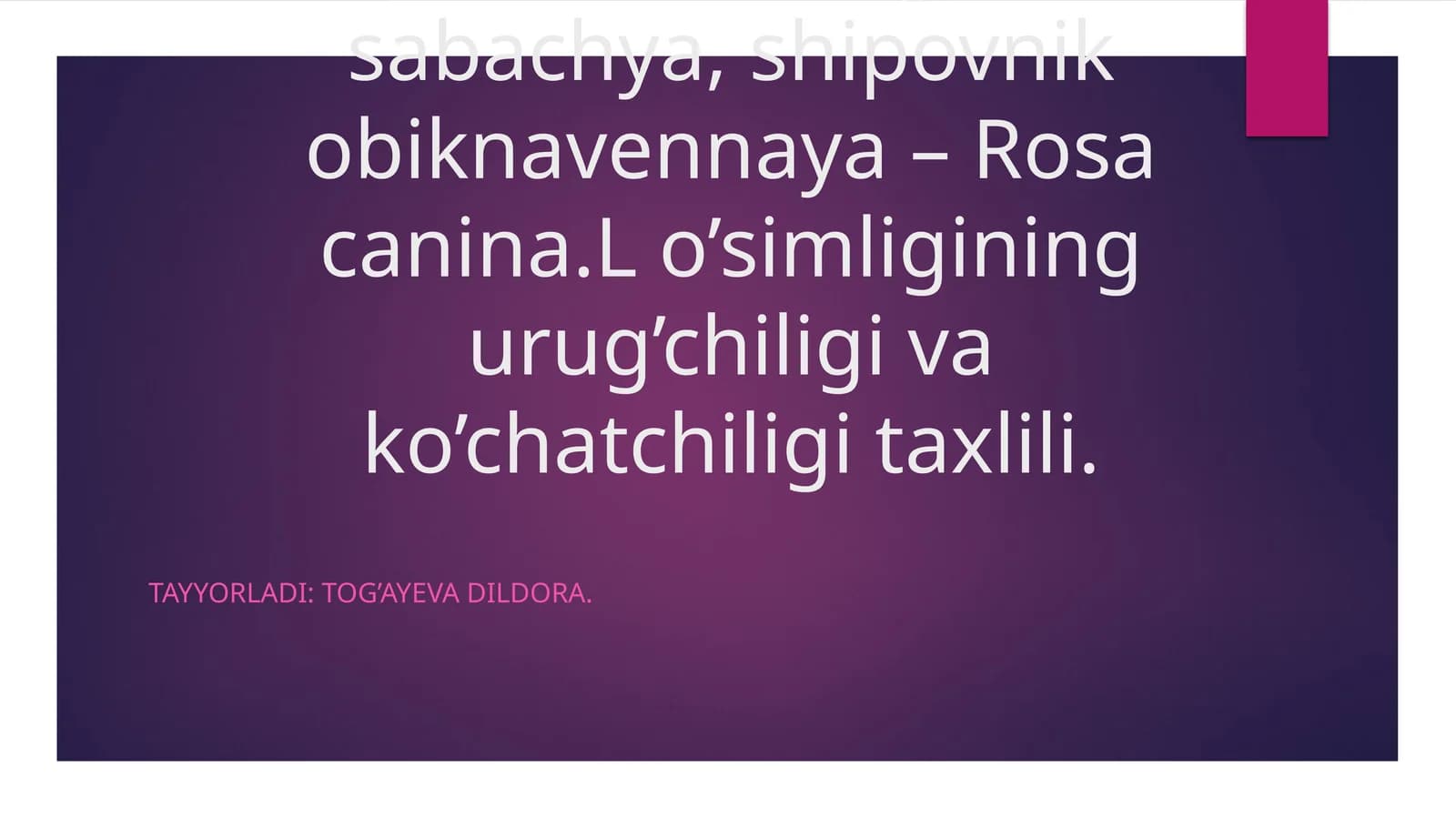 Itburunna’matagi, rosa, sabachya, shipovnik obiknavennaya– Rosa canina.L