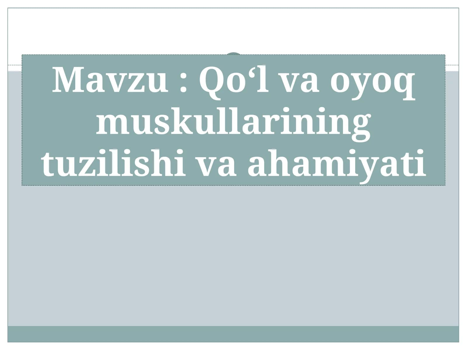 Qoʻl va oyoq muskullarining tuzilishi va ahamiyati