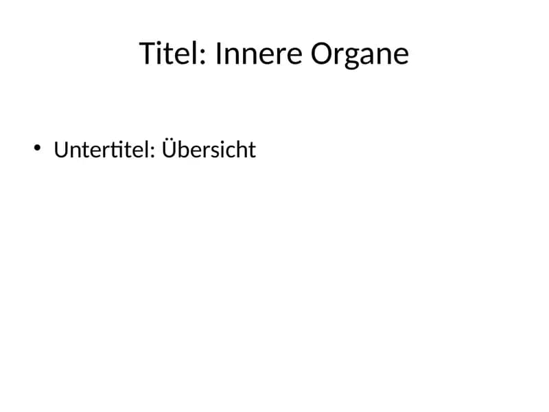 Innere Organe