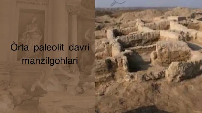 Òrta paleolit davri manzilgohlari