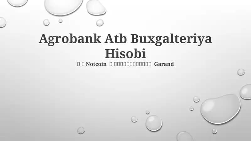 Agrobank Atb Buxgalteriya Hisobi