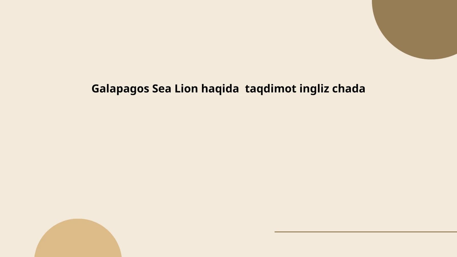 Galapagos Sea Lion