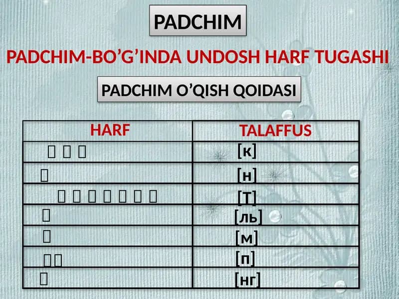 PADCHIM