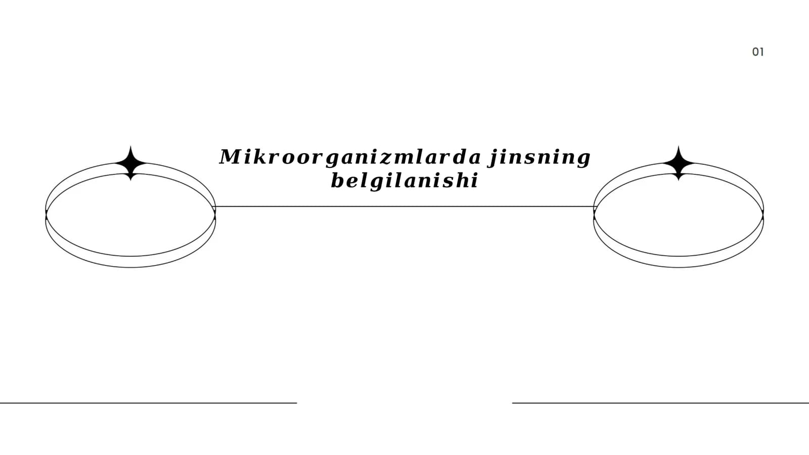 Mikroorganizmlarning biologik xilma-xilligi
