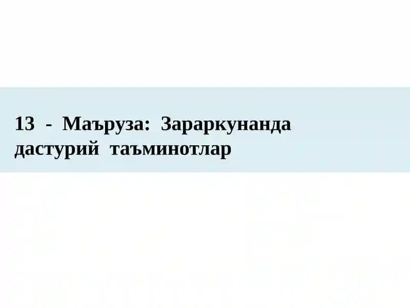 Зараркунанда	дастурий  таъминотлар