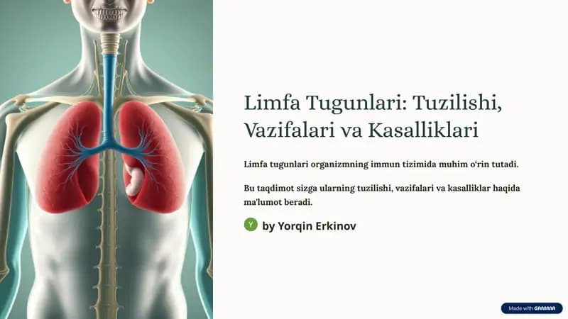 Limfa Tugunlari: Tuzilishi, Vazifalari va Kasalliklari