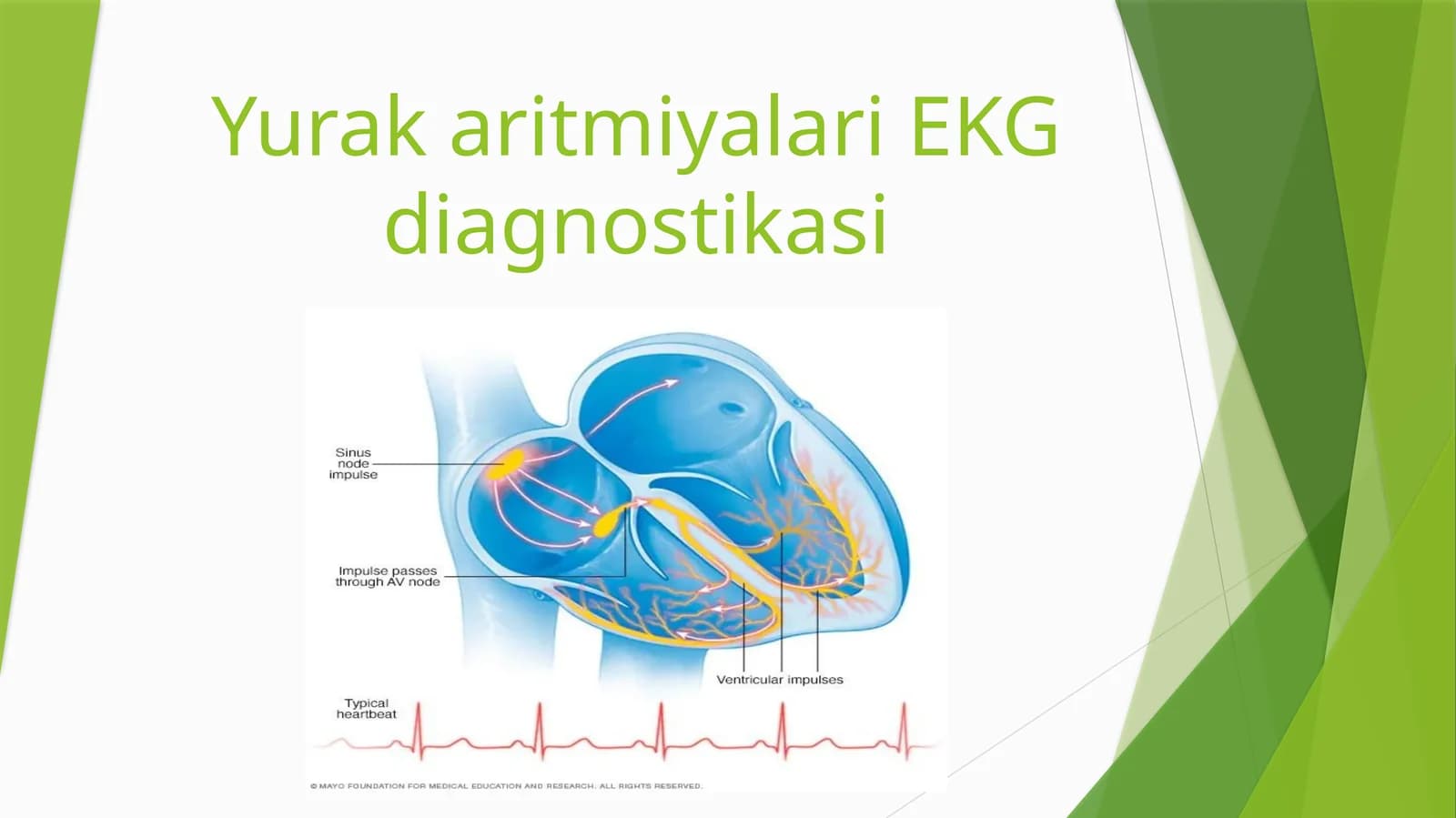 Yurak aritmiyalari EKG diagnostikasi