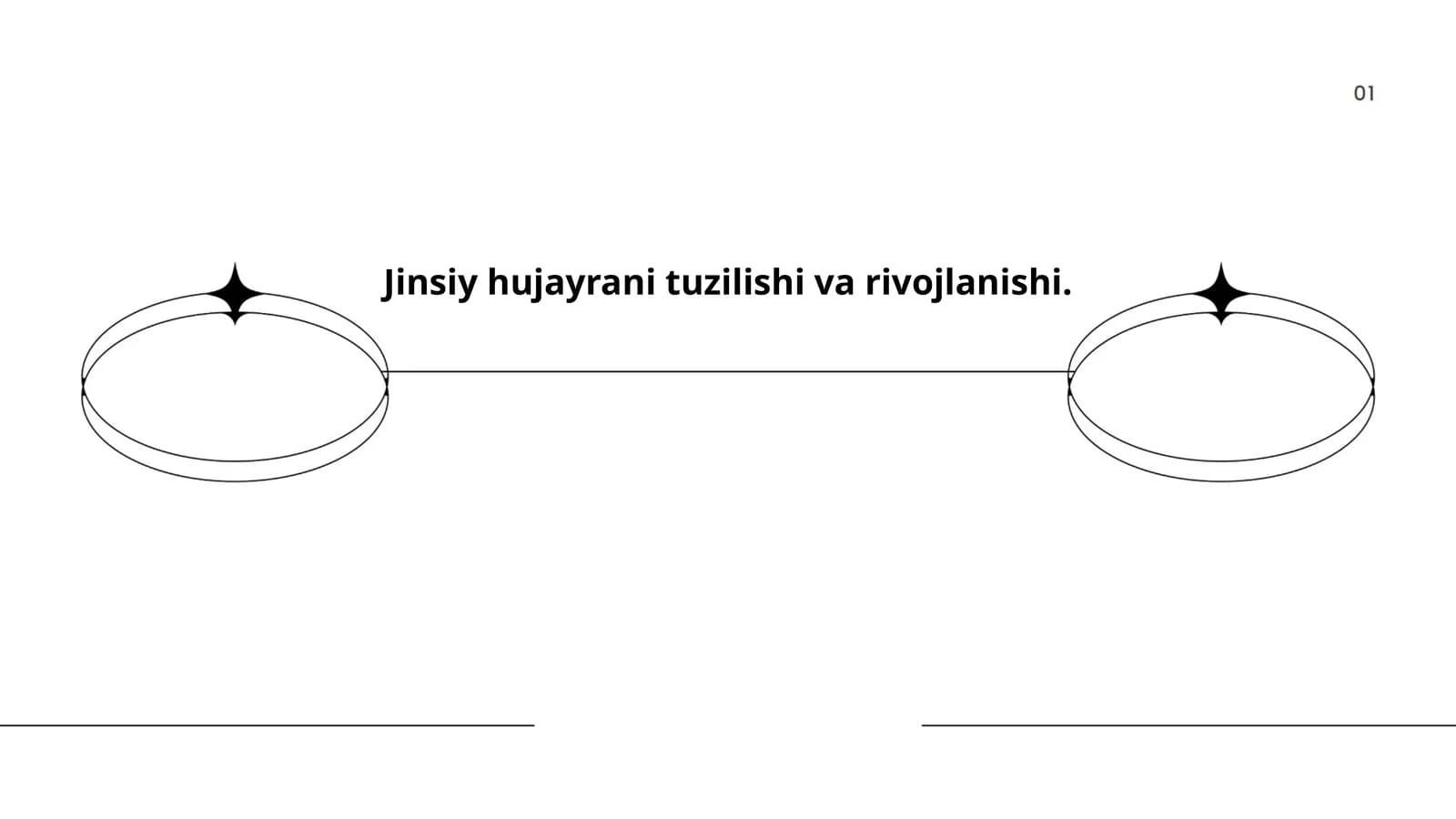 Jinsiy hujayrani tuzilishi va rivojlanishi