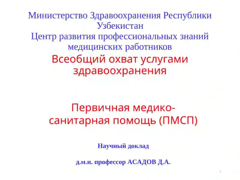 Первичная медико-санитарная помощь (ПМСП)