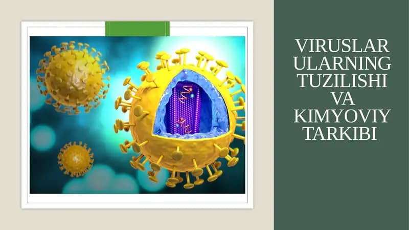 Viruslar ularning tuzilishi va kimyoviy tarkibi