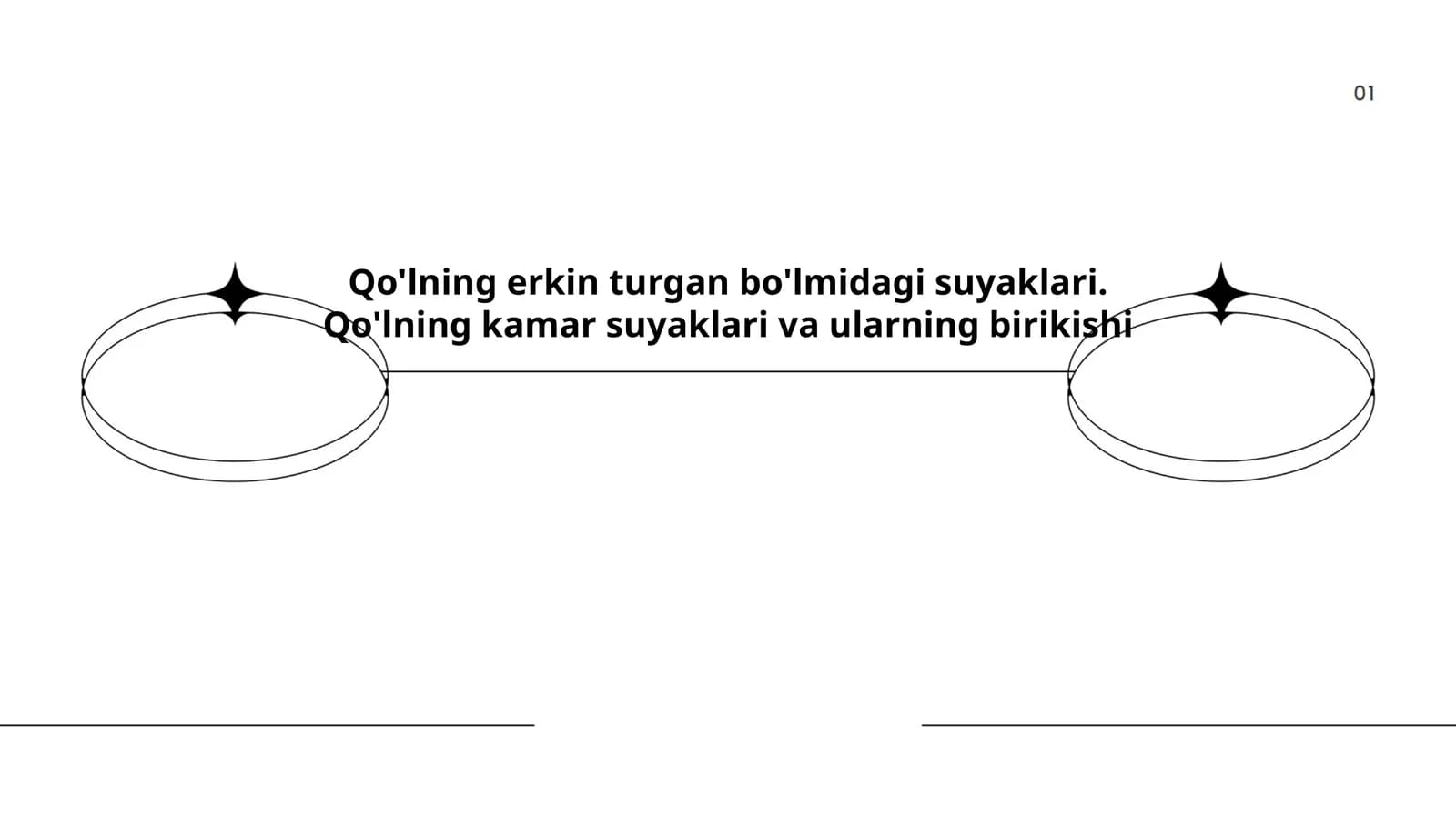 Qo'lning erkin turgan bo'lmidagi suyaklari