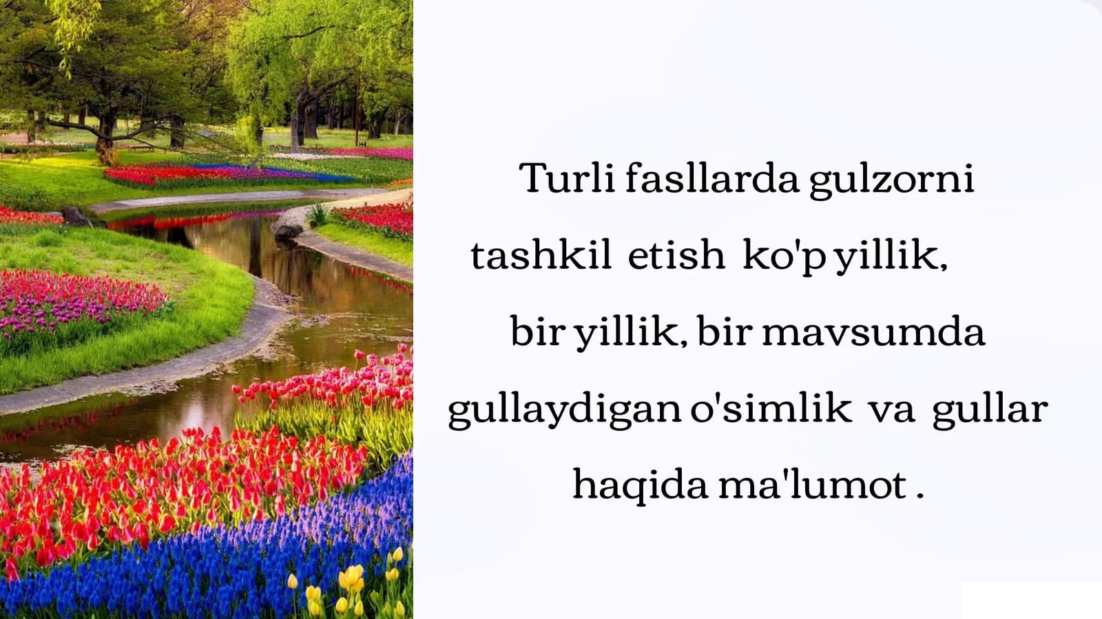 Turlifasllardagulzornitashkiletishko'pyillik,biryillik,birmavsumdagullaydigano'simlikvagullarhaqidama'lumot