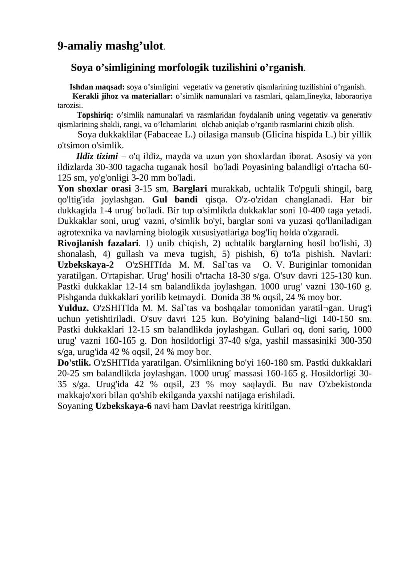Soya O'simligi Morfologiyasi