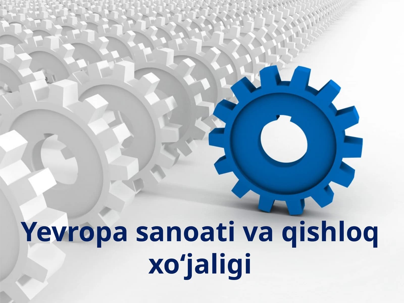 Yevropa sanoati va qishloq xo‘jaligi