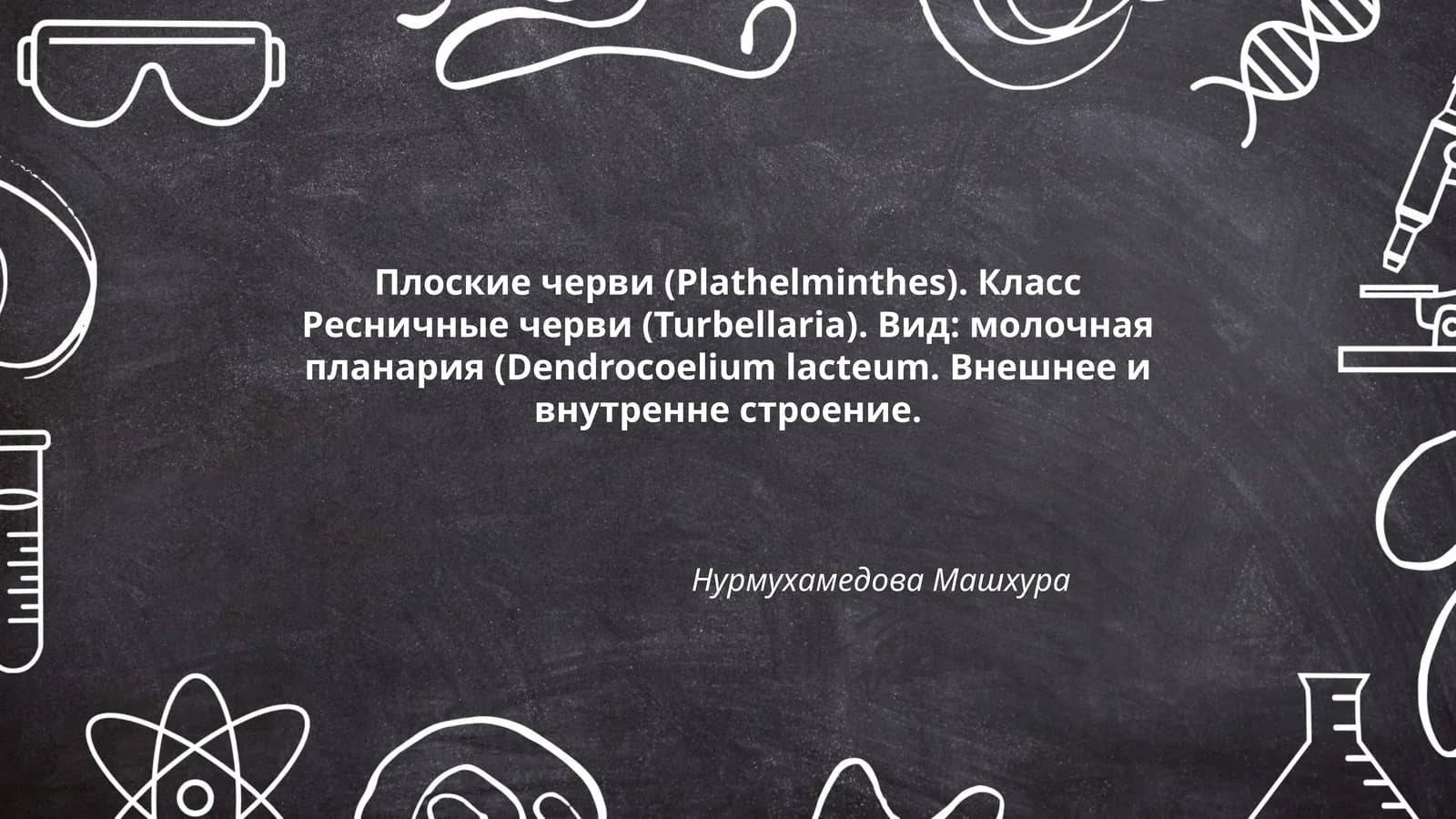 Молочная планария (Dendrocoelium lacteum)