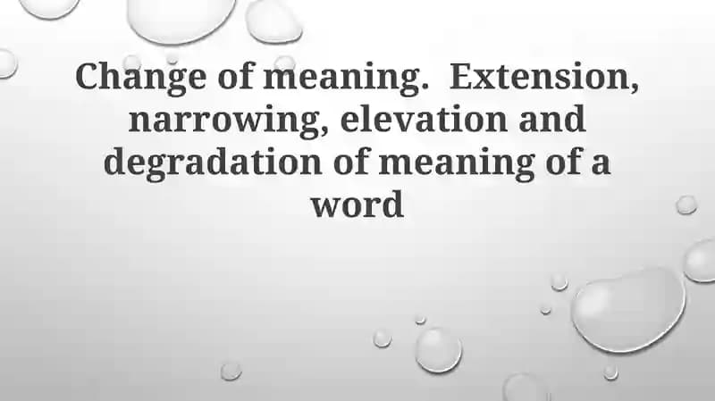 Understanding Semantic Change: Types and Mechanisms
