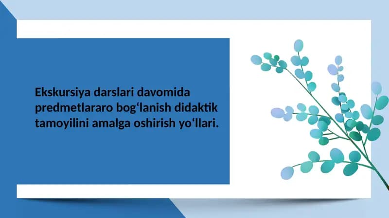 Ekskursiya darslari davomida predmetlararo bog‘lanish didaktik tamoyilini amalga oshirish yo‘llari