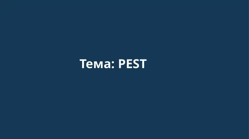 PEST analiz
