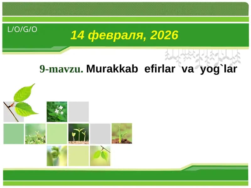 Murakkab efirlar va yog`lar