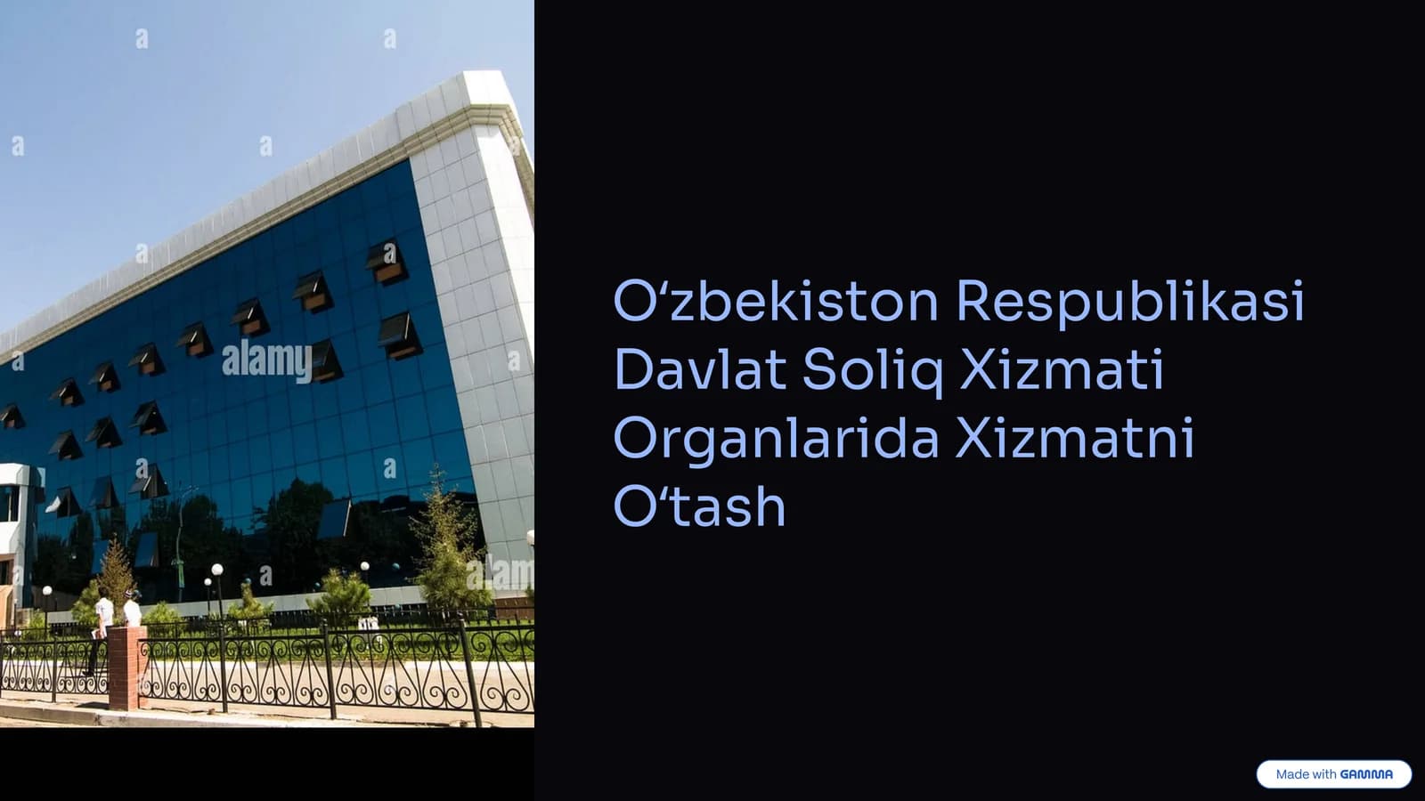 Soliq Xizmati Organlarida Xizmatni Oʻtash