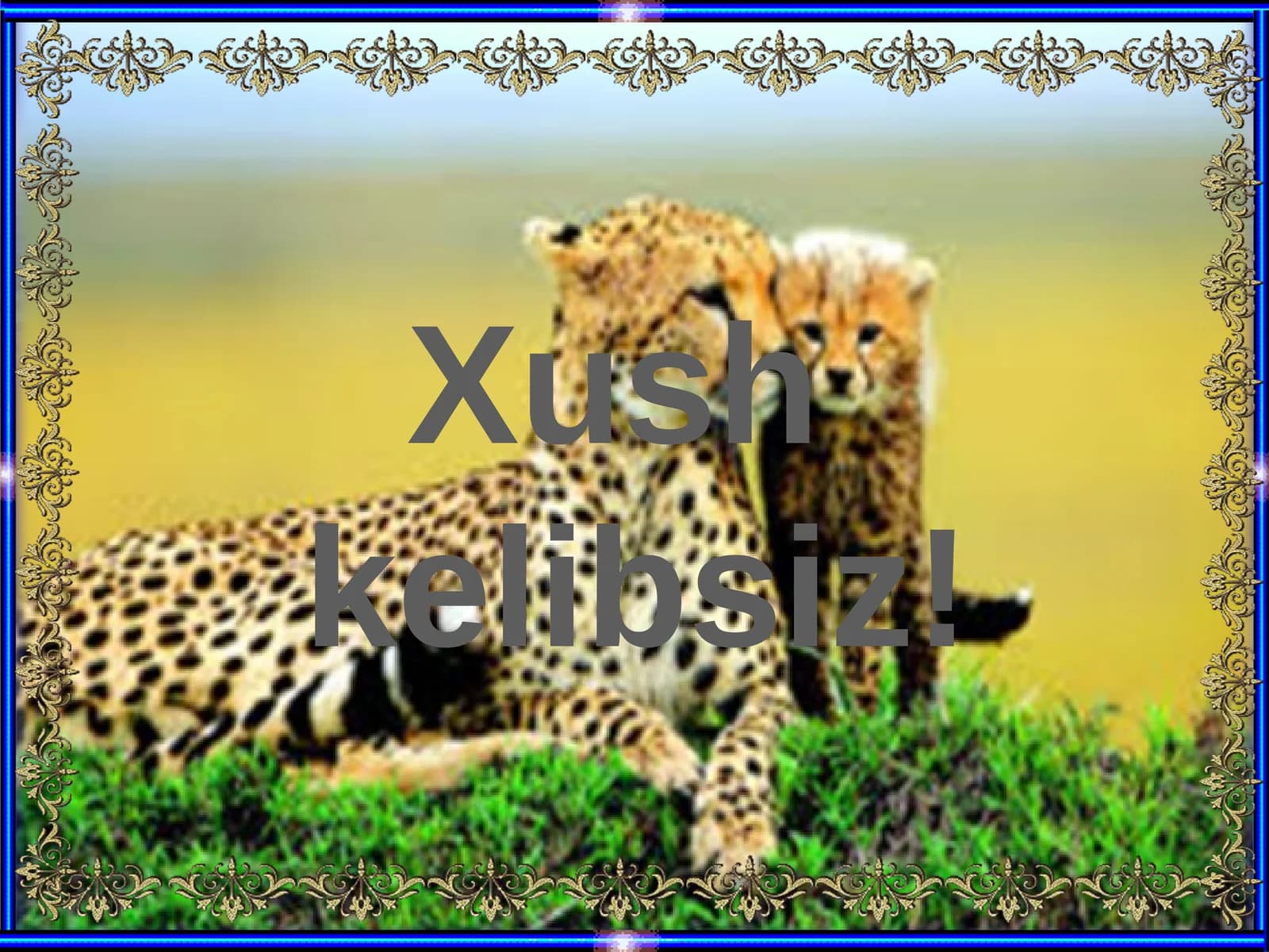 Primatlarturkumi. Sutemizuvchilarningahamiyati. O`smirlikdavriningpsixologik o`zigaxosligivaularningshaxslararo munosabatlardanomoyonbo`lishi