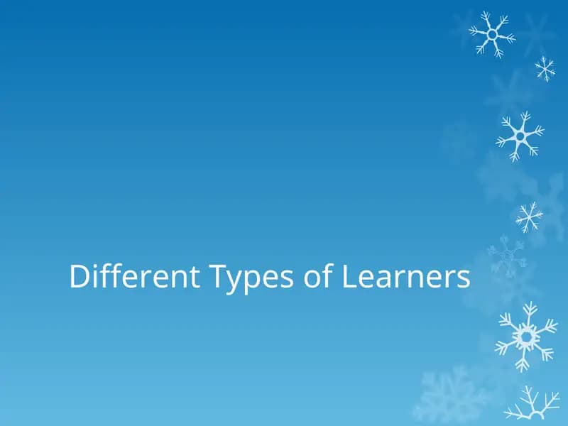 Different Types of Learners