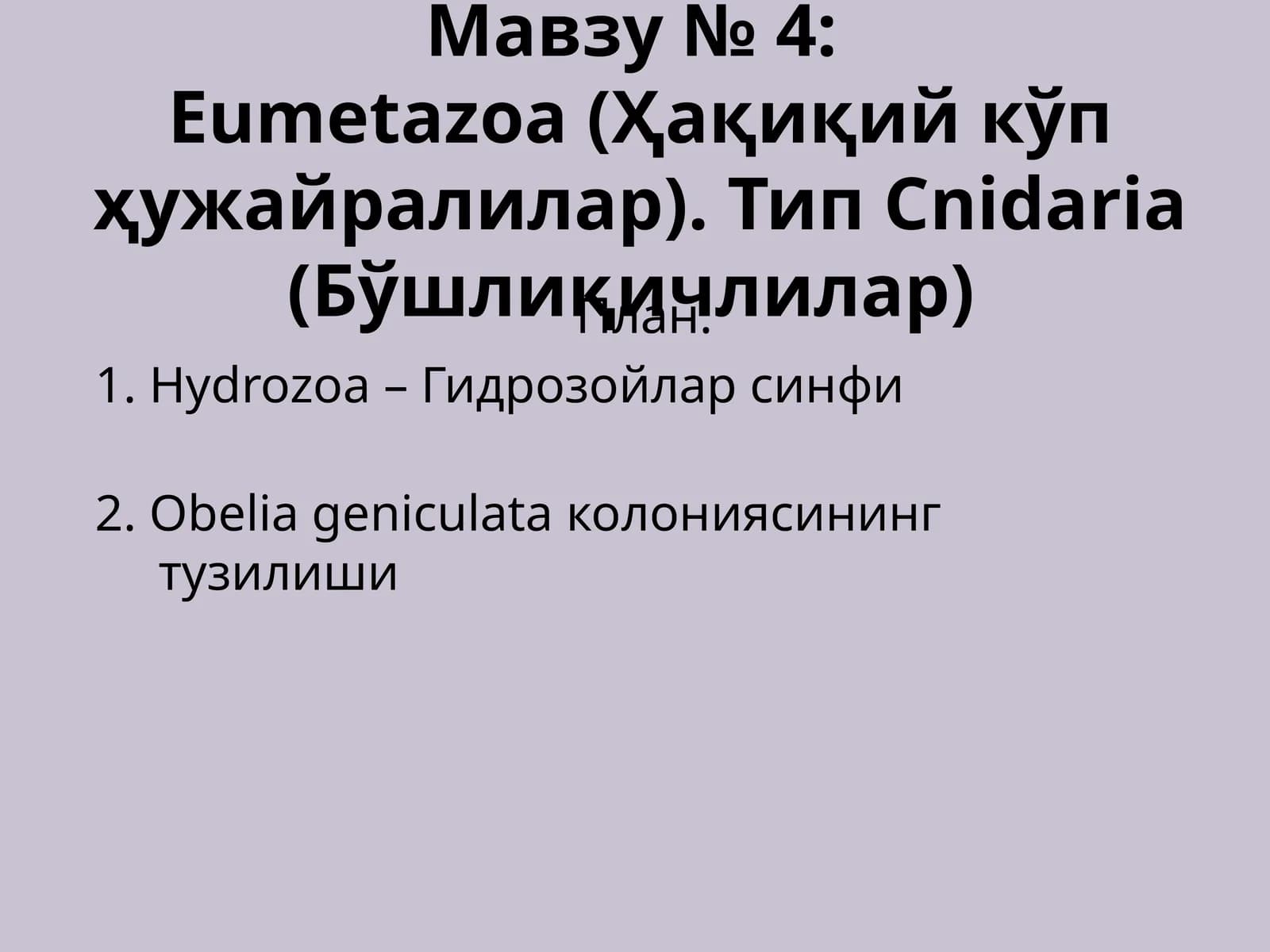 Eumetazoa (Ҳақиқий кўп ҳужайралилар). Тип Cnidaria (Бўшлиқичлилар)