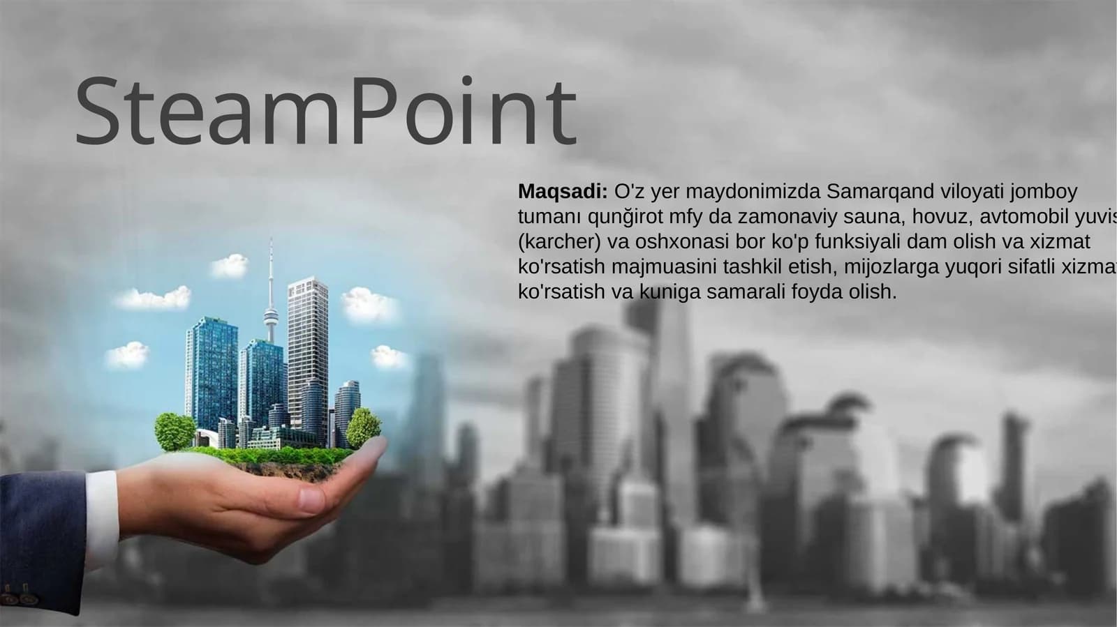 SteamPoint