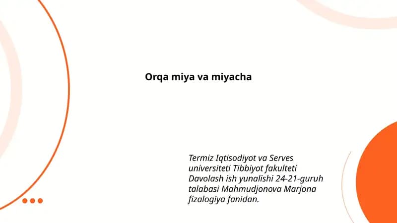 Orqa miya va miyacha
