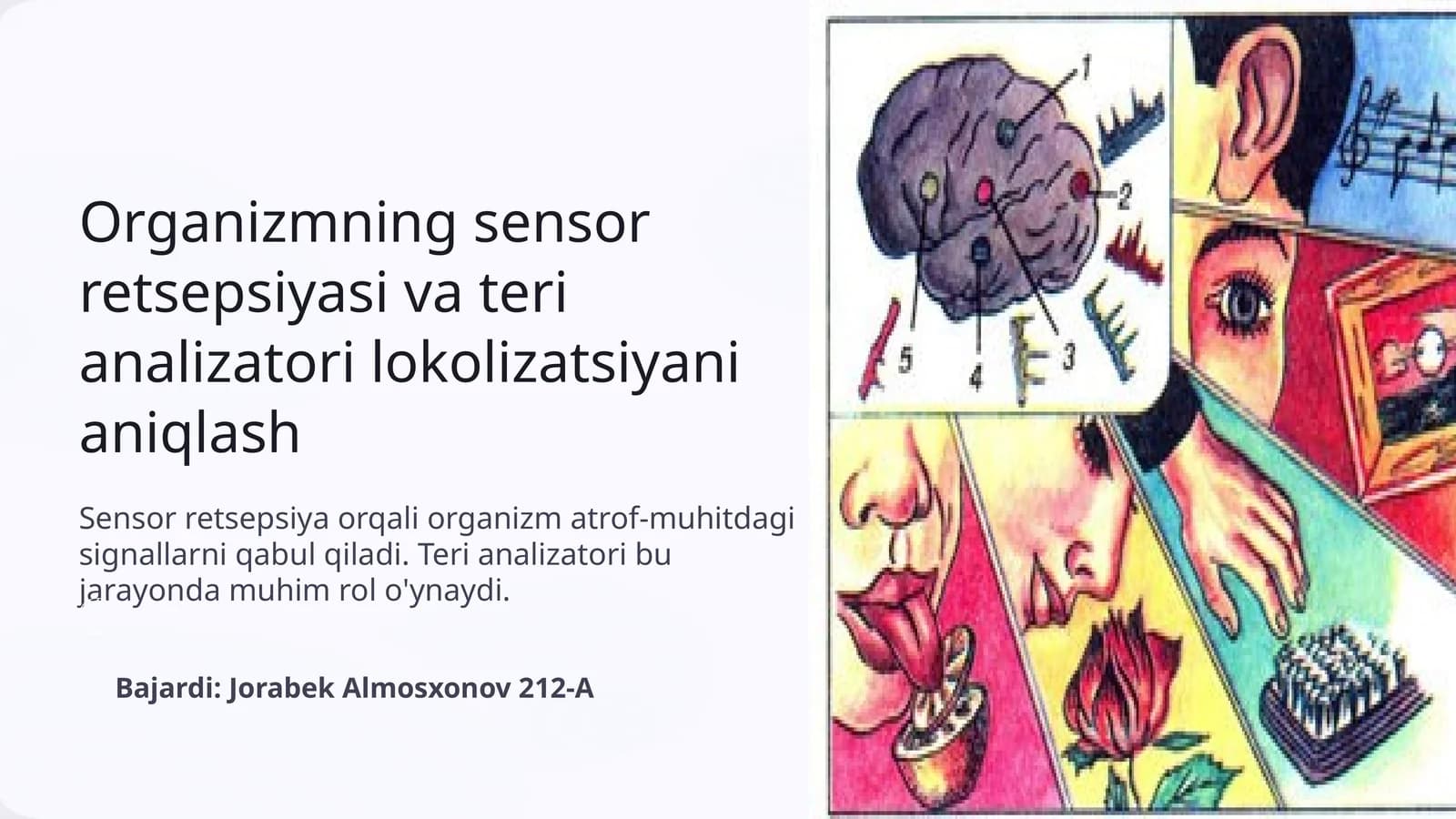 Organizmning sensor retsepsiyasi va teri analizatori lokolizatsiyani aniqlash