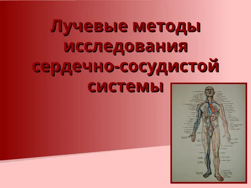 Лучевые методы исследования сердечно-сосудистой системы