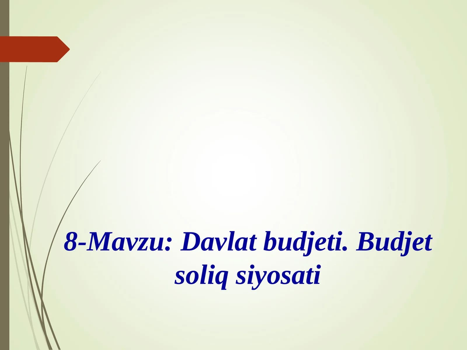 Davlat budjeti. Budjet soliq siyosati