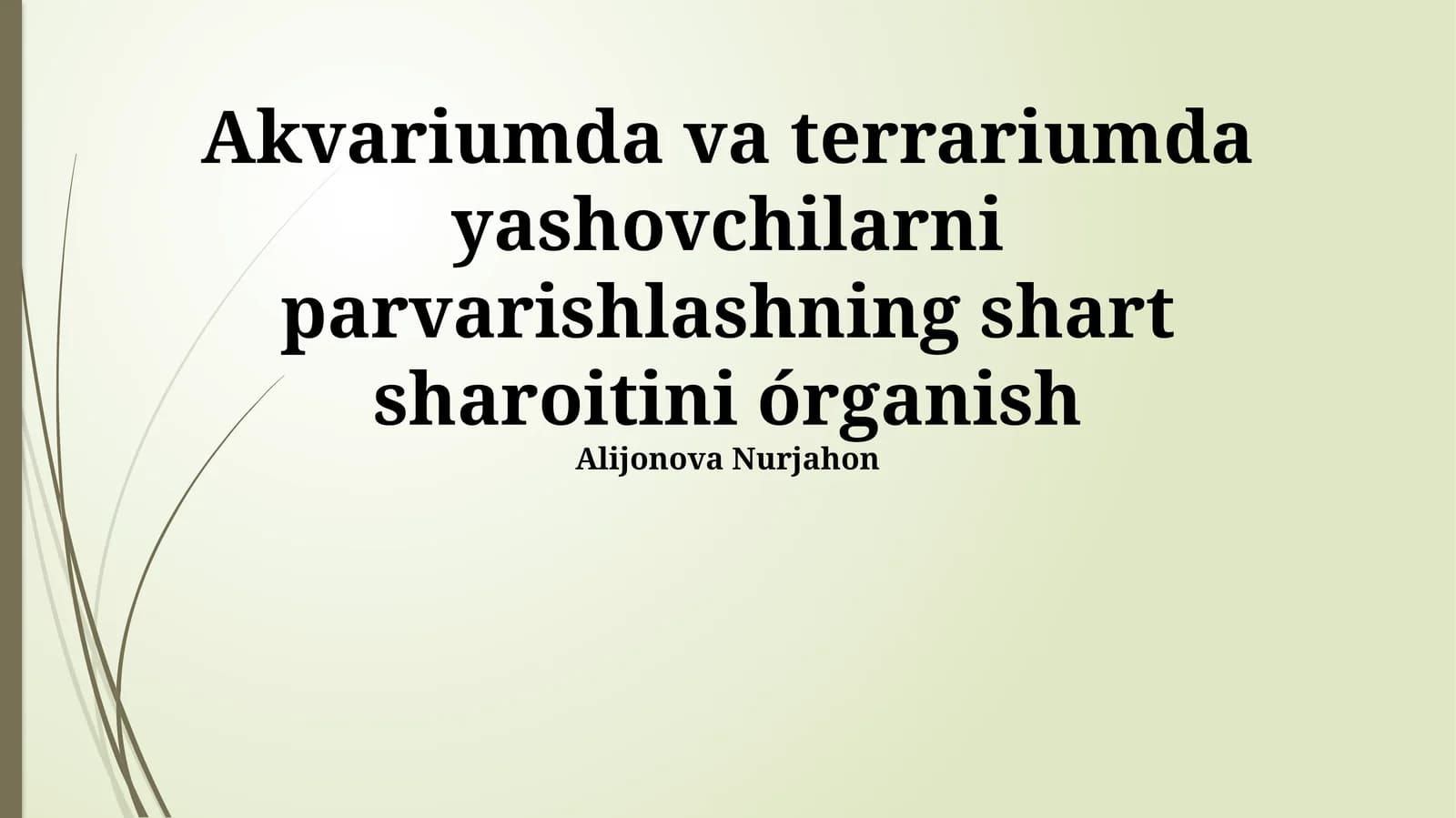 Akvariumda va Terrariumda Yashovchilarni Parvarishlashning Shartlari