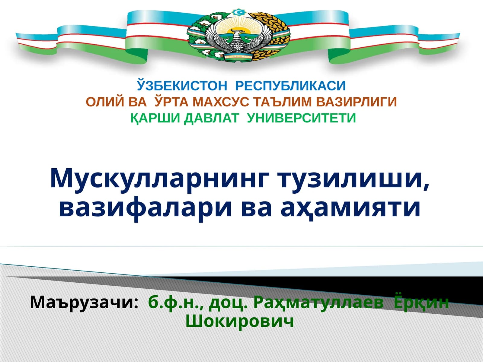 Мускулларнинг тузилиши, вазифалари ва аҳамияти