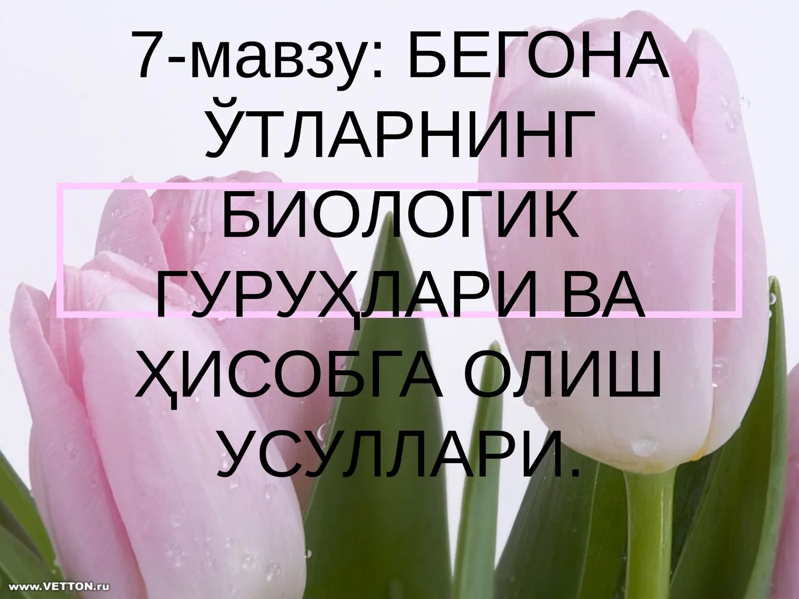 БЕГОНА ЎТЛАРНИНГ БИОЛОГИК ГУРУҲЛАРИ ВА ҲИСОБГА ОЛИШ УСУЛЛАРИ