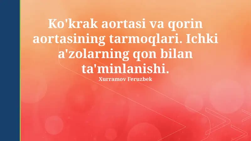 Ko'krak va qorin aortasining shoxchalari