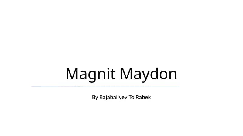 Magnit Maydon