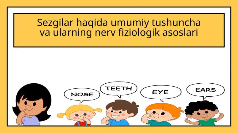 Sezgilar haqida umumiy tushuncha va ularning nerv fiziologik asoslari