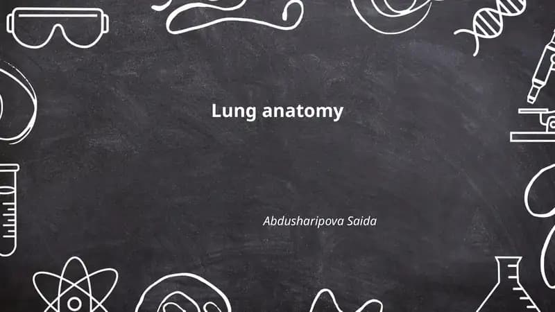 Lung anatomy