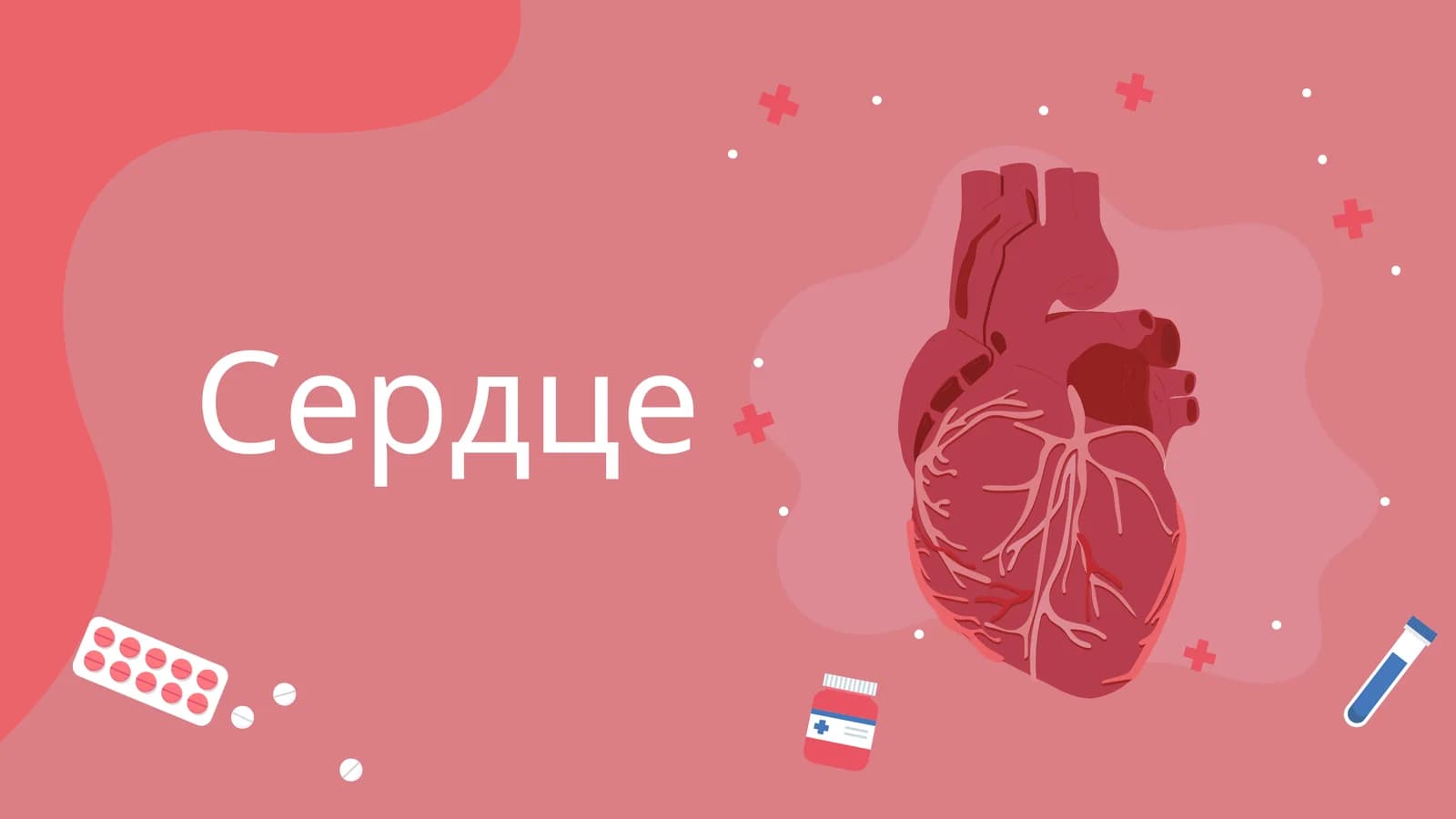 Ангиология