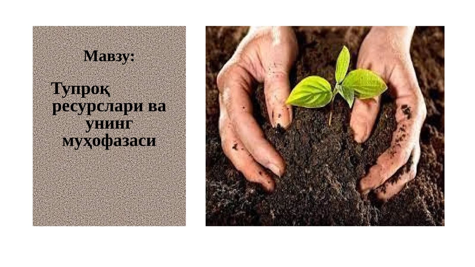 Тупроқ ресурслари ва унинг муҳофазаси